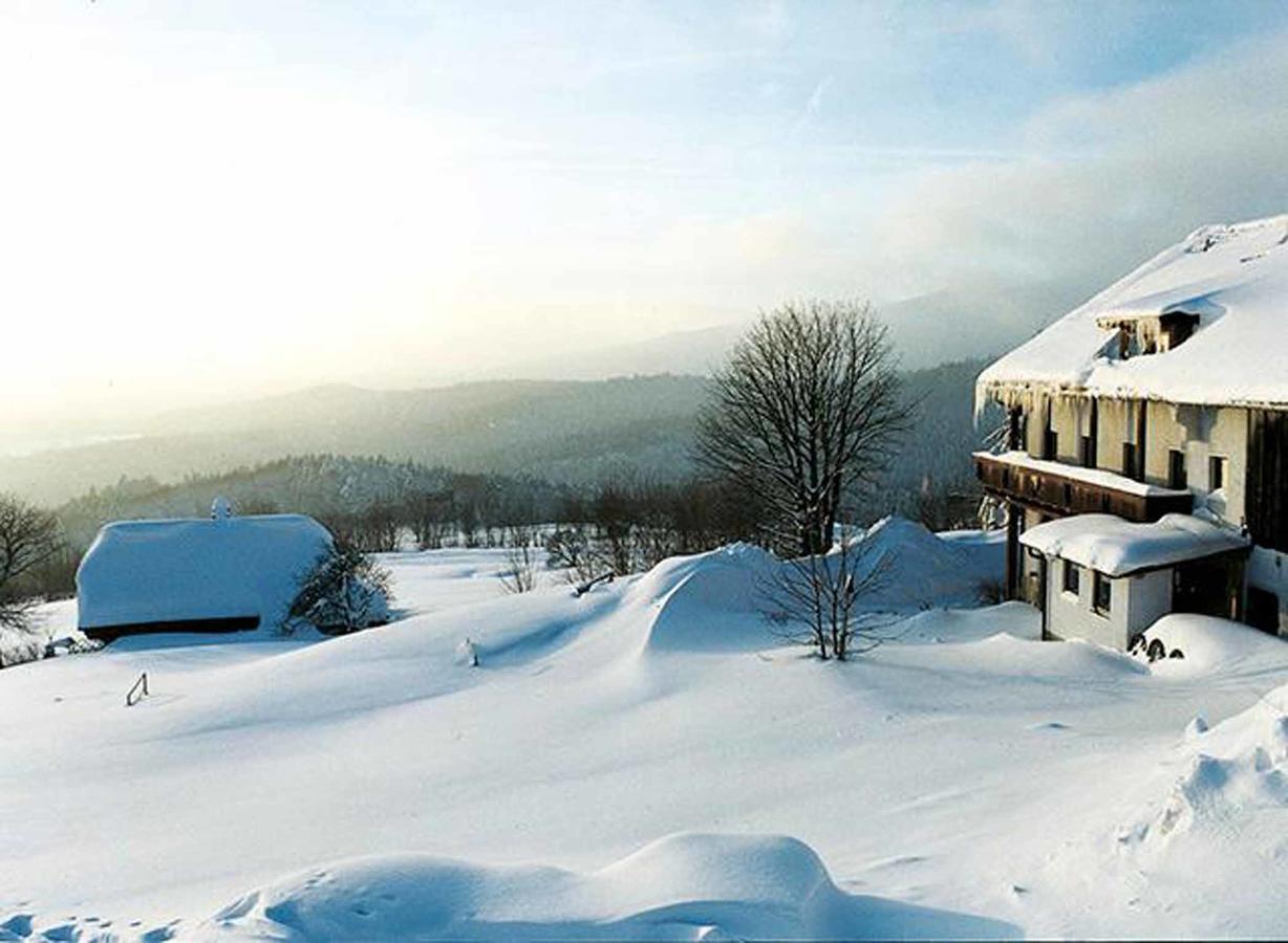 Pension Draxlerhof Neuschoenau Luaran gambar