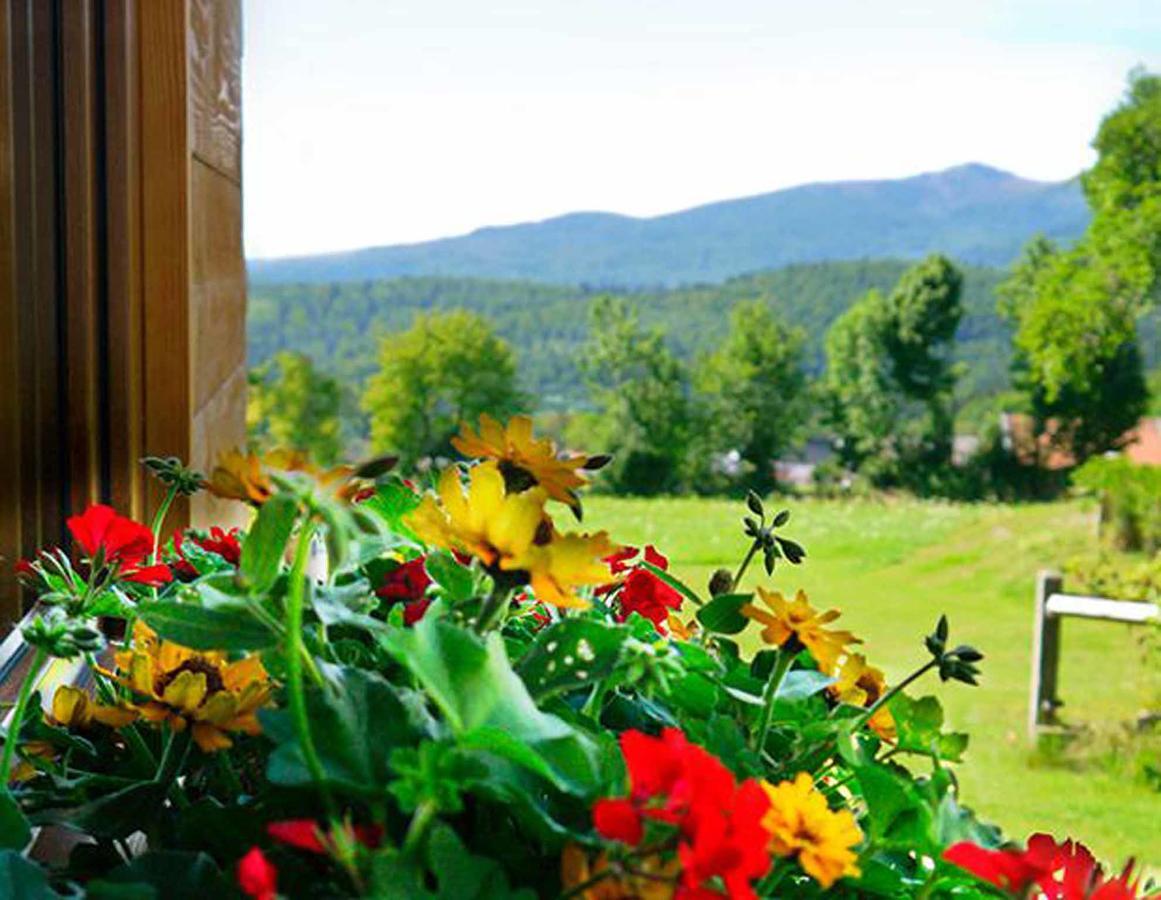 Pension Draxlerhof Neuschoenau Luaran gambar